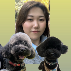 内山愛雅